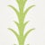 Contemporary Sample-Schumacher X Celerie Kemble Acanthus Stripe Fabric in Leaf For Sale - Image 3 of 3