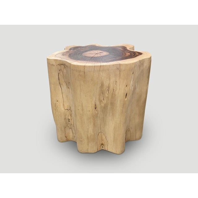 Andrianna Shamaris Rare Sono Wood Oversized Side Table or Pedestal For Sale In New York - Image 6 of 18