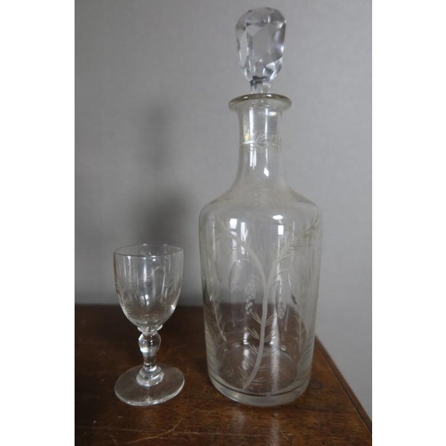 Black forest liqueur cellar" rare walnut liqueur cellar in the taste of the black forest. She discovers a tray including...