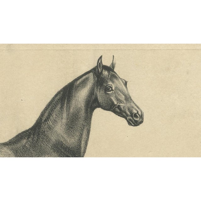 August Jäger, Aga, 1846, Paper Lithograph For Sale - Image 4 of 9
