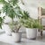 Contemporary Leilani Pots, Set Of 3 For Sale - Image 3 of 3