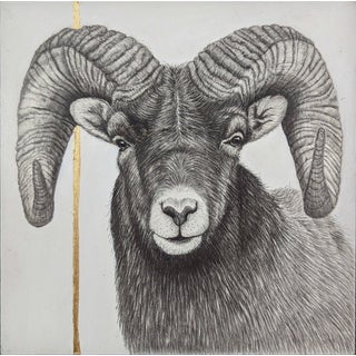 Ram by Tammy Liu-Haller | Graphite on Clayboard, Gold Leaf, Acrylic Portrait of a ram. For Sale