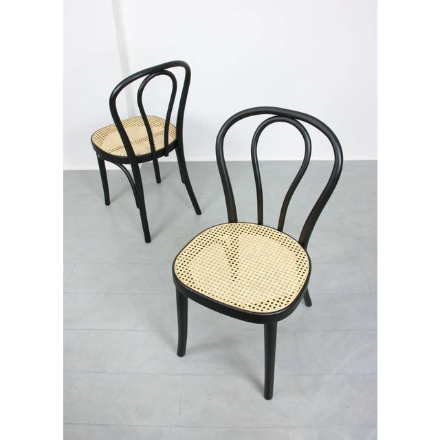 Bentwood No. 218 Chairs, Set of 2 For Sale - Image 3 of 18