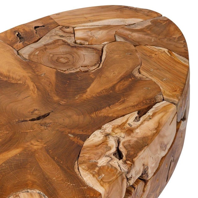 2020s Oval Teak Root Coffee Table For Sale - Image 5 of 5