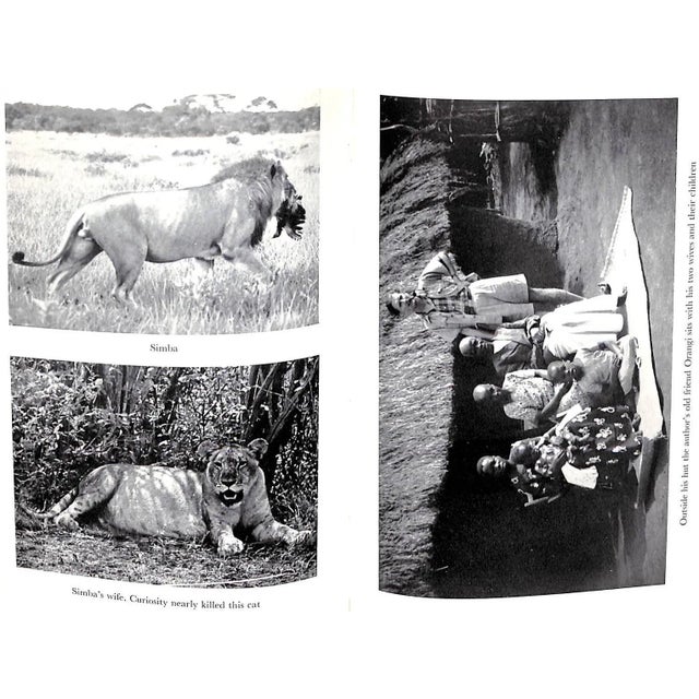 White "Blind Safari" 1961 Southam, h.j. For Sale - Image 8 of 8