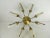 1960s Vintage Brass and Glass Chandelier, 1960s For Sale - Image 5 of 12