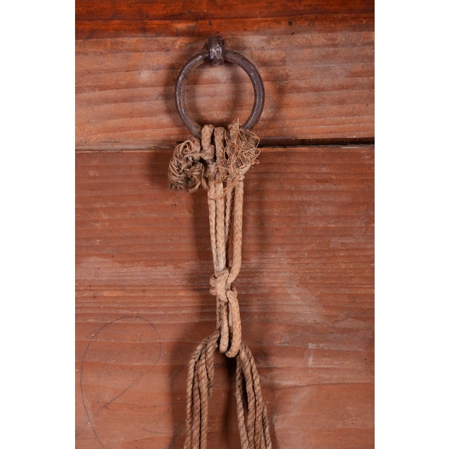 Empire Wall Mirror in Walnut, Austria, 1870s For Sale - Image 10 of 12