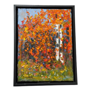 White Birch of Autumn For Sale