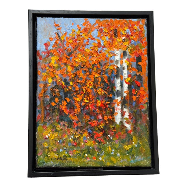 White Birch of Autumn For Sale