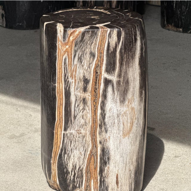 Side Table in Black Petrified Wood with White Sides and Beige Striations, 1980s For Sale - Image 14 of 18