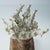 Faux Coral Assemblage on an Antique Italian Urn Decorative Sculpture For Sale - Image 9 of 15