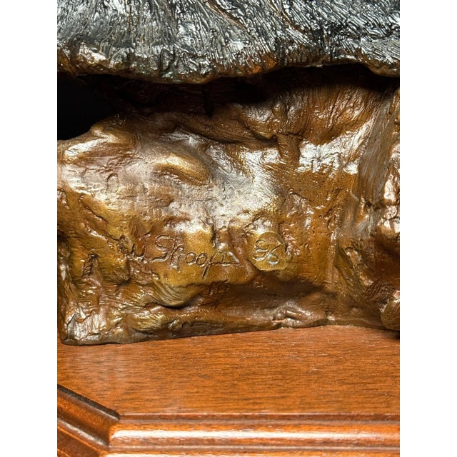 1980s Bronze Sculpture "The Spirit (Eagle Catcher)" By Wally Shoop For Sale - Image 9 of 9