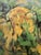 Early 21st Century Cézanne “The Late Work” Exhibition Poster From the Museum of Modern Art, New York, Framed For Sale - Image 5 of 12