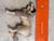 1900s Borzoi Bru Kestner Jumeau Bleuette Fashion Doll Germany Label 4” Fur Salon Dog For Sale - Image 4 of 8