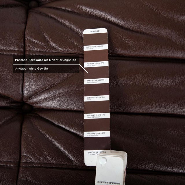 Togo Ottoman in Brown Leather by Michel Ducaroy for Ligne Roset For Sale - Image 10 of 15