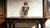 "W-17cm,H-44.5cm Experience the beauty and elegance of Chinese history with our Chinese Vintage Porcelain Handcrafted with...