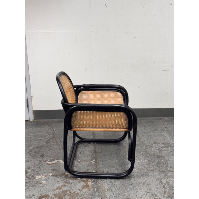 Safavieh Safavieh Nadie Rattan Accent Chair For Sale - Image 4 of 12