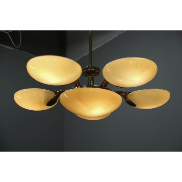 Art Nouveau Six-Light Brass Chandelier by Jencik, Czechoslovakia, 1920s For Sale - Image 4 of 17
