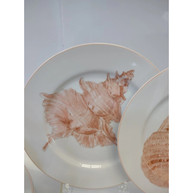 1970s Coastal Chic Vintage Sea Shell Fitz and Floyd "Coquille" Pattern Dinnerware Set- 36 Pieces For Sale - Image 5 of 12