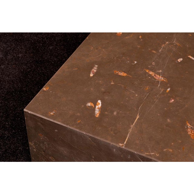 Not Yet Made - Made To Order Silvestrin Coffee Table in Jurassic Fossil Stone by Nerinea For Sale - Image 5 of 7