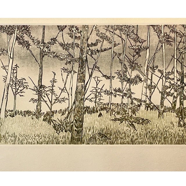 1970s Ruth Leaf "Ballet for 26 Trees" Etching 29x22 Studio Print BFK Rives Paper Art For Sale - Image 5 of 7