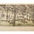 1970s Ruth Leaf "Ballet for 26 Trees" Etching 29x22 Studio Print BFK Rives Paper Art For Sale - Image 5 of 7