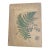 Heath's Fern Portfolio, 1885 Complete With 15 Chromolithographs For Sale