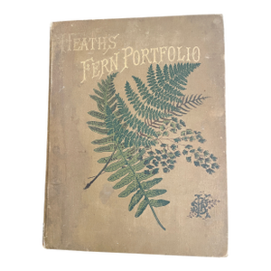 Heath's Fern Portfolio, 1885 Complete With 15 Chromolithographs