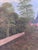 Metal European Artist, Countryside Art, 1930, Canvas, Framed For Sale - Image 7 of 15