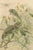 P. J. Smit, Chameleons in Tropical Foliage, 1895, Color Lithograph For Sale - Image 4 of 10