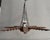 Vintage Spanish Colonial Starburst Ceiling Lamp, 1940s For Sale - Image 9 of 10
