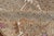Unique & Colorful Turkish Kars Runner With Tribal Designs and Geometric Motifs For Sale - Image 10 of 11