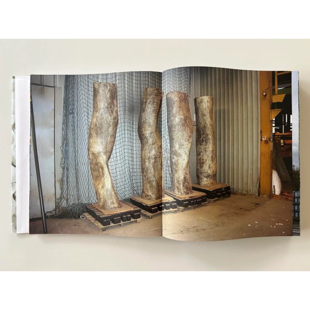 Art Book- Fernando Casasempere Works Obras 1991-2016 For Sale - Image 4 of 12
