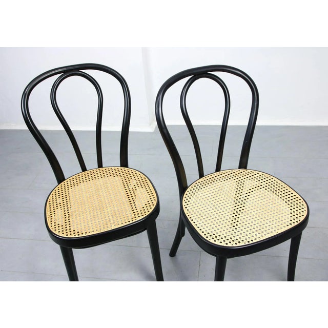Thonet Bentwood No. 218 Chairs, Set of 2 For Sale - Image 4 of 18