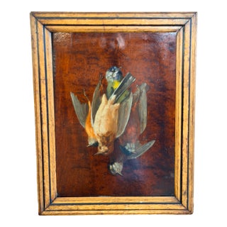 Antique French Oil on Wood Painting Game Birds Fowl Still Life Tromp l'Oiel - Signed For Sale