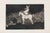 Hollywood Regency Francisco Goya, A Circus Queen, 1877, Etching For Sale - Image 3 of 3