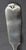 American Mid 19th Century R&W Wilson Coin Silver Soup Ladle For Sale - Image 3 of 4