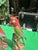 Ceramic Pair of Ceramic Hand Painted Bird Figurines For Sale - Image 7 of 7