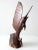 Cabin Vintage Ironwood Sailfish For Sale - Image 3 of 8