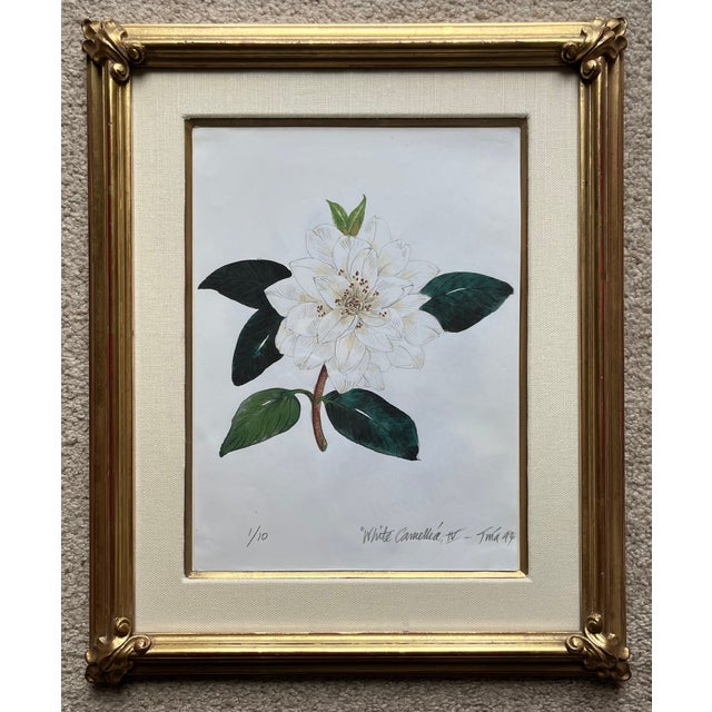 "Camellia Japonica" Botanical Prints-Custom Gold Leaf Frames-Set 2 For Sale - Image 4 of 7