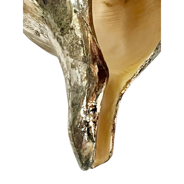Vintage Partially Silvered Conch Shell in the Style of Bucellati For Sale - Image 10 of 15