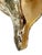 Vintage Partially Silvered Conch Shell in the Style of Bucellati For Sale - Image 10 of 15