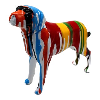 Interior Illusions Plus Graffiti Puppy For Sale