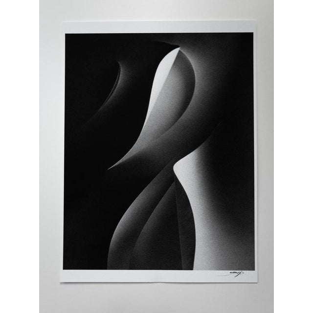 Contemporary Ugne Pouwell, Paper Cut, 2021, Photography For Sale - Image 3 of 4