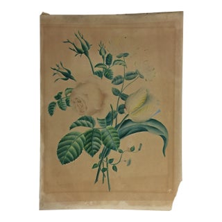 Antique Print of Roses and Tulips For Sale