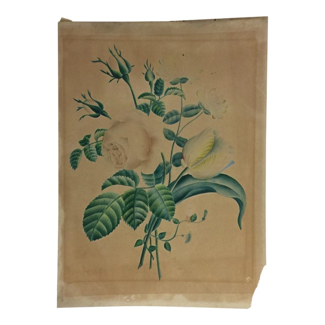 Antique Print of Roses and Tulips For Sale