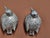 1970s Vintage Bird Salt and Pepper Shakers, 1950s, Set of 2 For Sale - Image 5 of 8