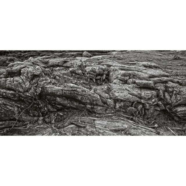 Unforgiven by Stuart Möller Rocks and cacti near a coastline. Archival Pigment Print signed and numbered by the artist....