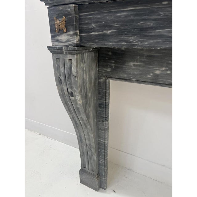 Napoleon III Fireplace in Blue Turquin Marble, 1800s For Sale - Image 10 of 18