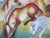 Wild Horses by Zoa Ace | Oil on canvas Painting of colorful horses in a landscape. For Sale - Image 4 of 5